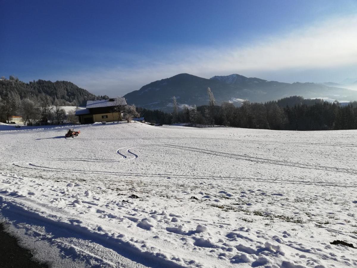 Appartement Steinerhof Werfenweng Buitenkant foto