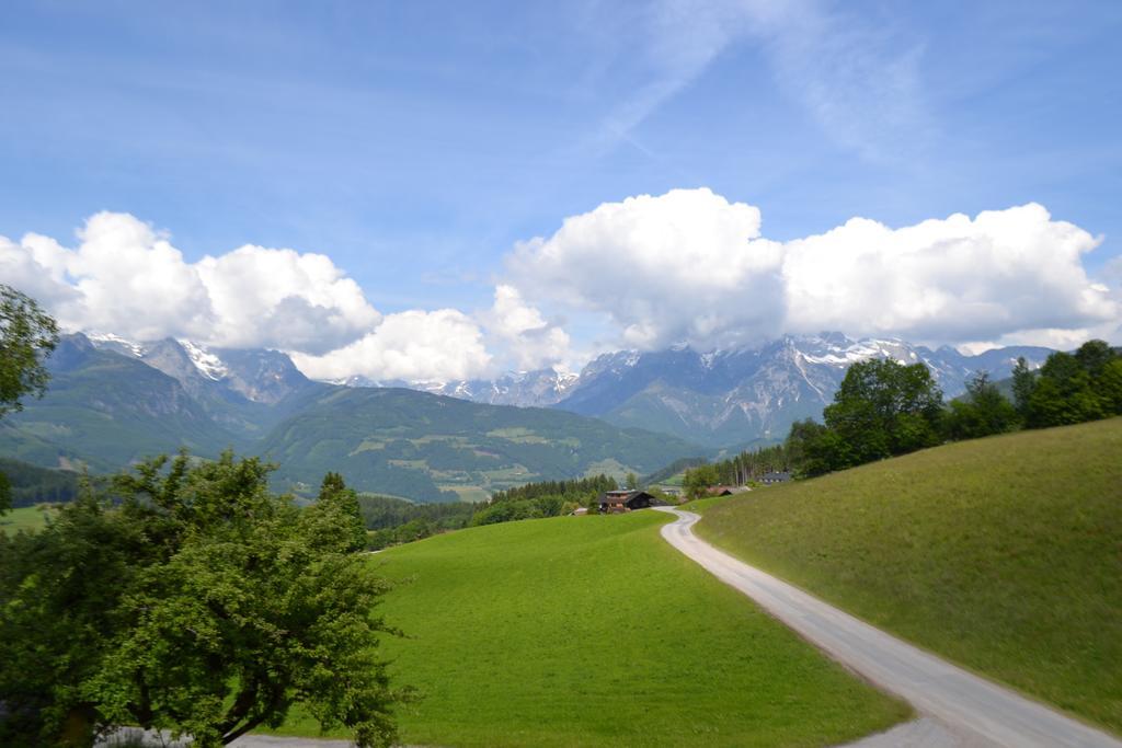 Appartement Steinerhof Werfenweng Buitenkant foto