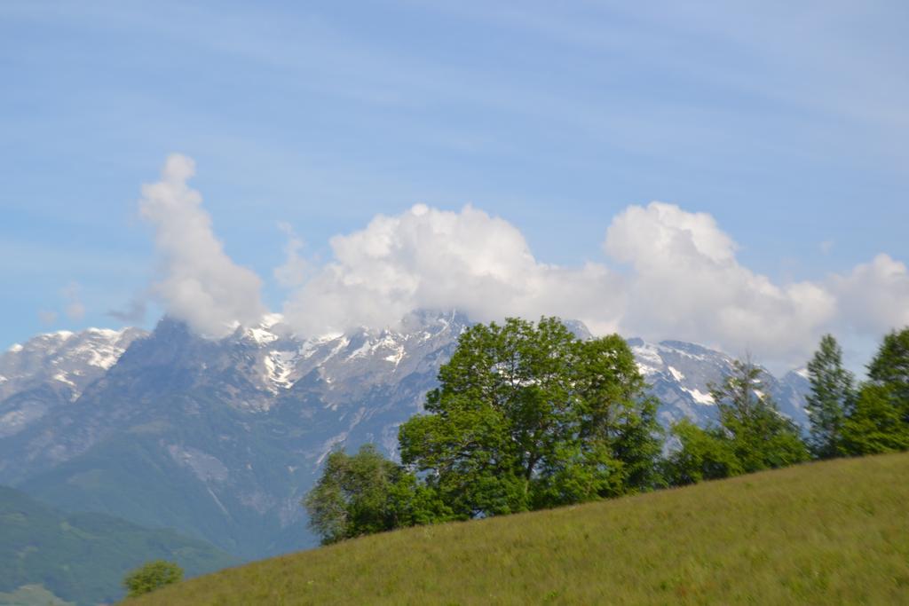 Appartement Steinerhof Werfenweng Buitenkant foto